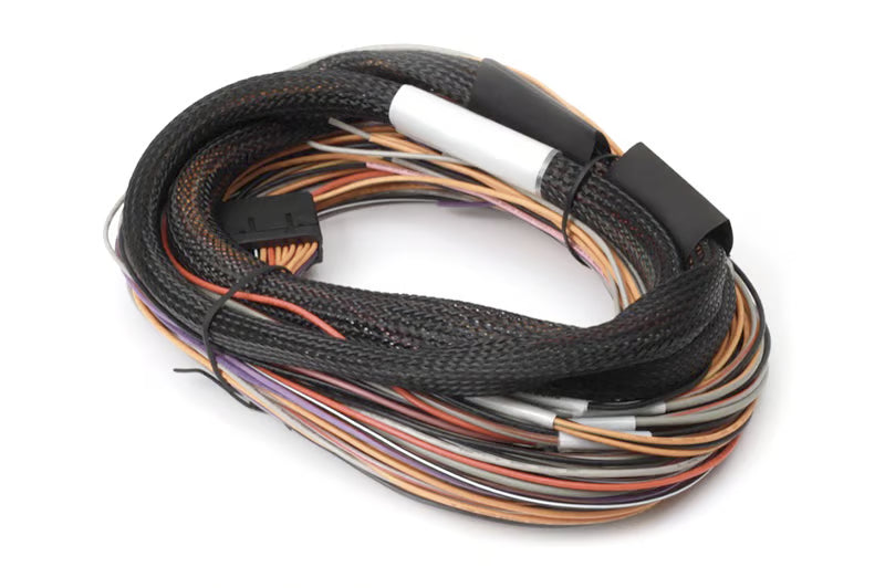 IO 12 Expander Flying Lead Harness 2.5m (8') HT-049902