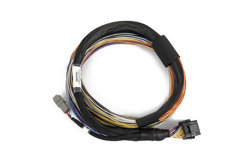 Haltech Nexus T2 / T1 Basic Universal Wire-in Harness HT-181200