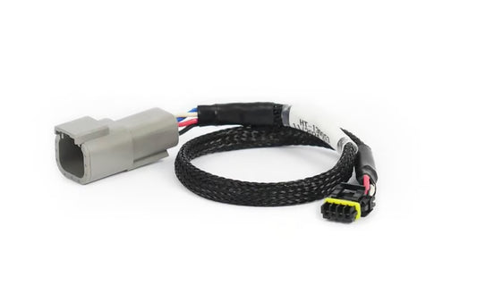 CAN Adaptor Loom DTM-4 to Molex Mizu-P25 - Suits Holley HT-130053