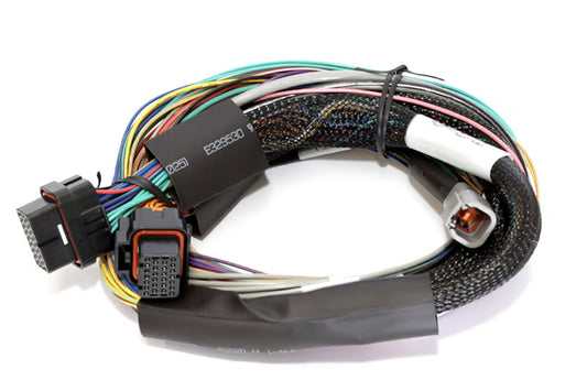 Elite 1500, 2500 & 2500 T Basic Universal Wire-in Harness Length: 2.5m (8') HT-141302
