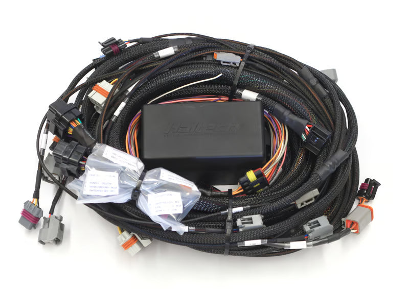 Elite 2500 GM GEN III LS1 & LS6 (DBW Retrofit Ready) Terminated Harness (EV1) HT-141362