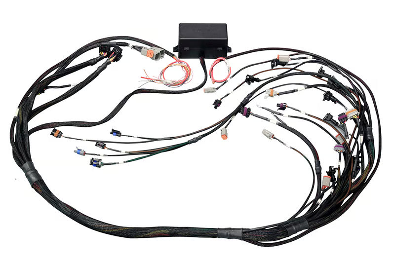 Elite 2500 GM GEN IV LSx (LS2/LS3 etc) DBW Ready Terminated Harness (EV1) HT-141366