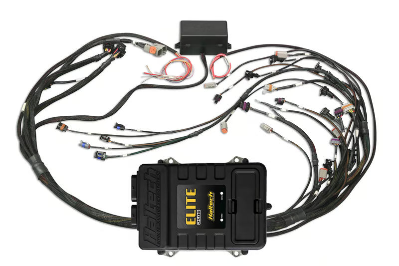 Elite 2500 + GM GEN III LS1 & LS6 non DBW Terminated Harness Kit (EV1) HT-151360