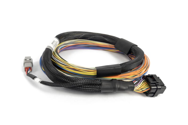 Haltech Nexus T2 / T1 Basic Universal Wire-in Harness HT-181200