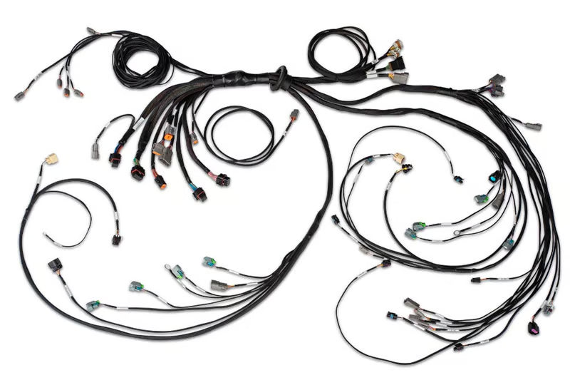 Nexus R5 LSx DBW Terminated Harness - DBW ready HT-186205