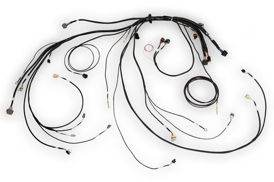 Nexus Rebel LS Terminated Harness for Nexus Rebel LS ECU HT-186500