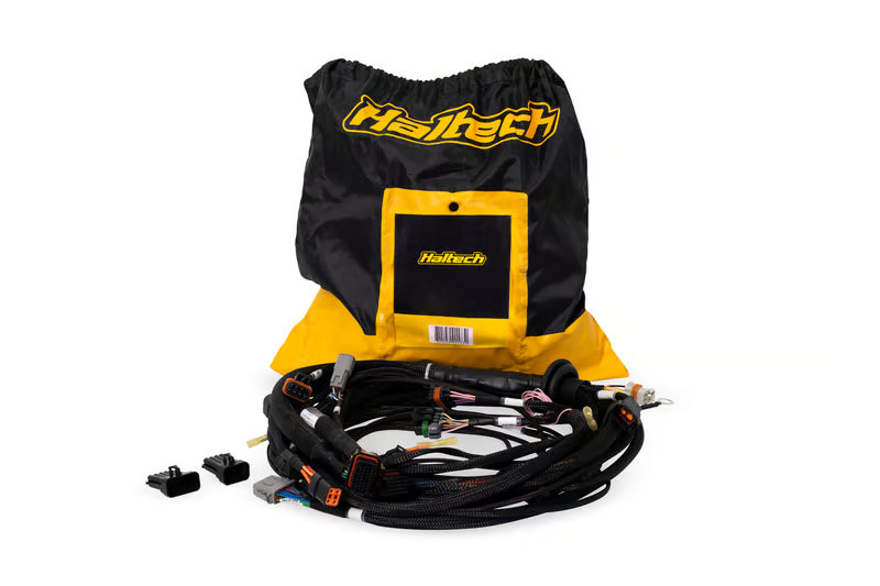 Nexus Rebel LS Terminated Harness for Nexus Rebel LS ECU HT-186500