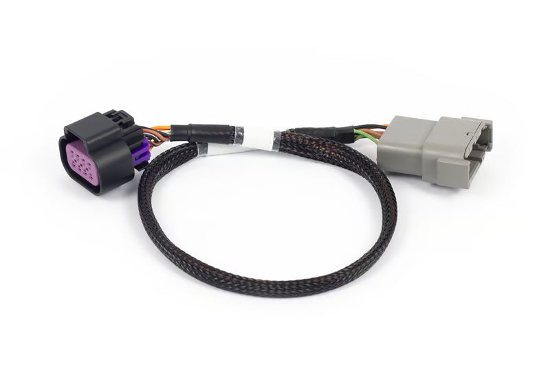 Nexus Rebel LS - 8-pin DBW adaptor HT-186506