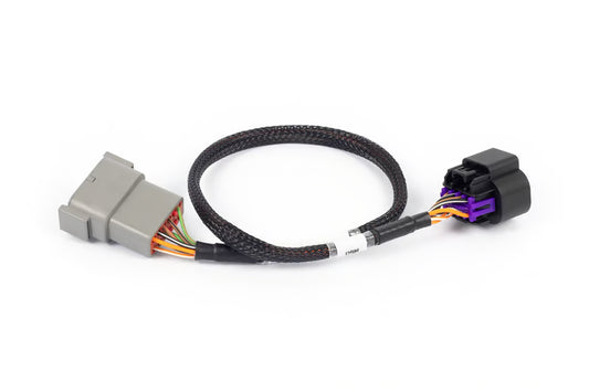 Nexus Rebel LS - 8-pin DBW adaptor HT-186506