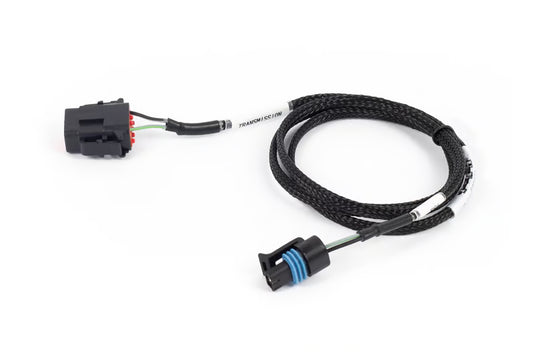 Nexus Rebel LS - T56 Transmission Harness HT-187003