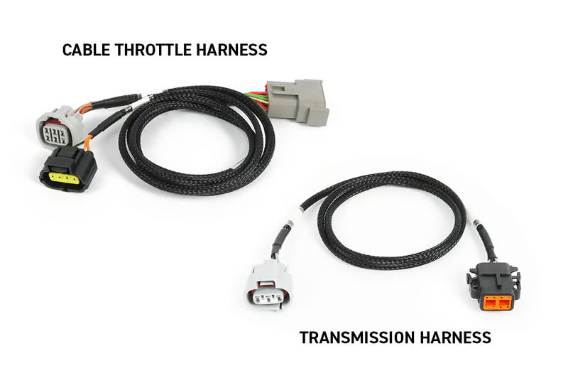 NEXUS Rebel JZ- HT-220205
